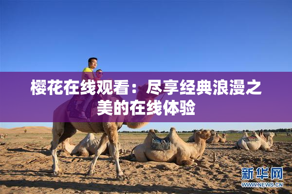 樱花在线观看：尽享经典浪漫之美的在线体验