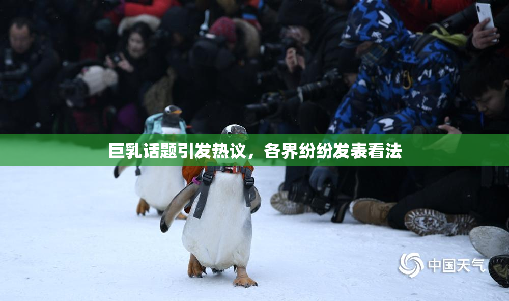 巨乳话题引发热议，各界纷纷发表看法