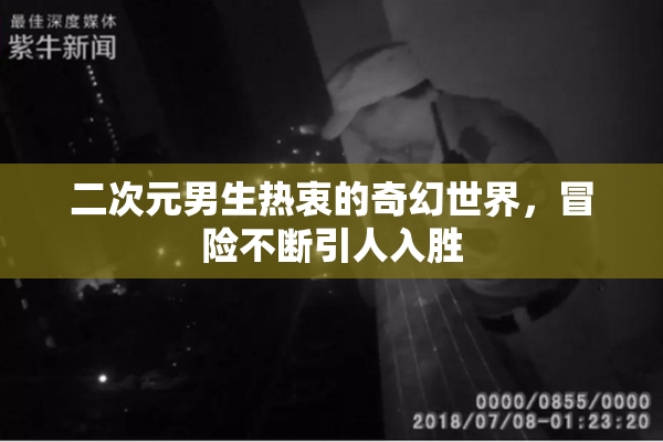 二次元男生热衷的奇幻世界，冒险不断引人入胜