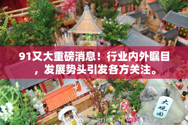 91又大重磅消息！行业内外瞩目，发展势头引发各方关注。