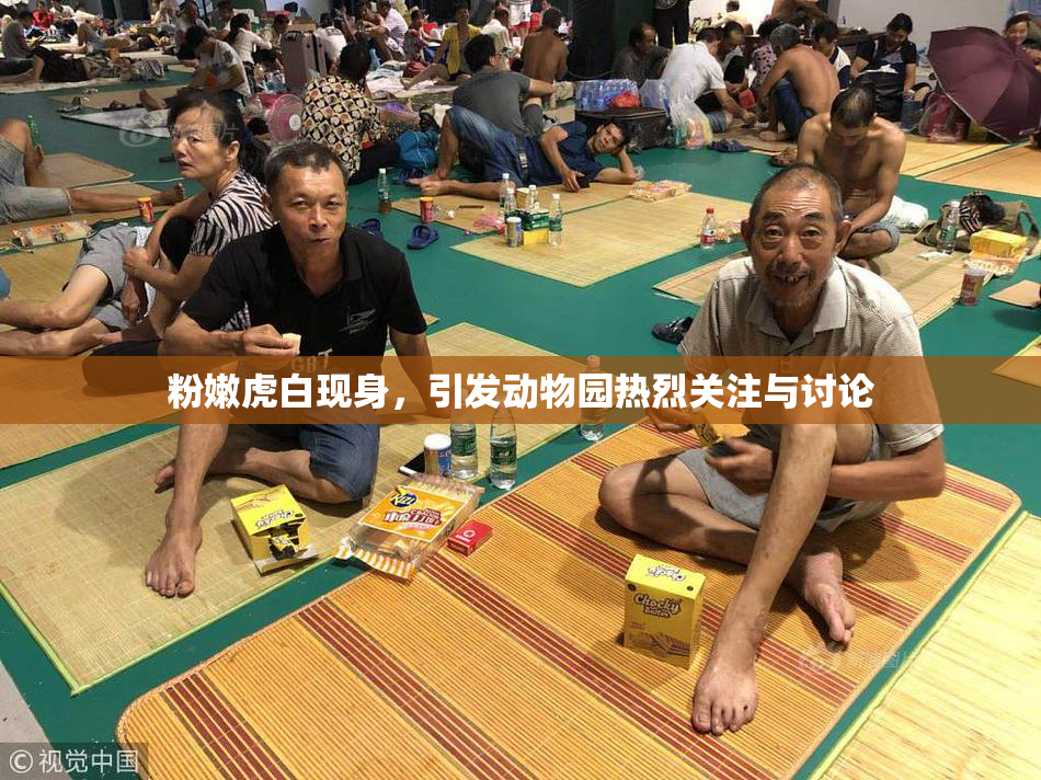 粉嫩虎白现身，引发动物园热烈关注与讨论