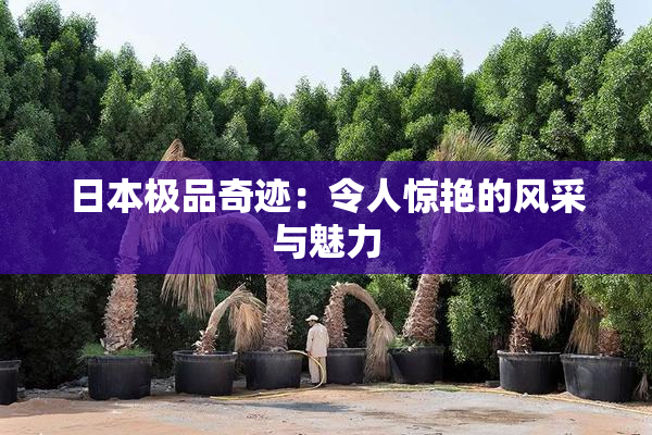 日本极品奇迹：令人惊艳的风采与魅力