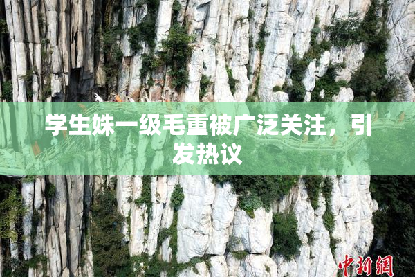 学生姝一级毛重被广泛关注，引发热议