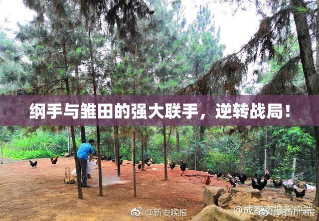 纲手与雏田的强大联手，逆转战局！