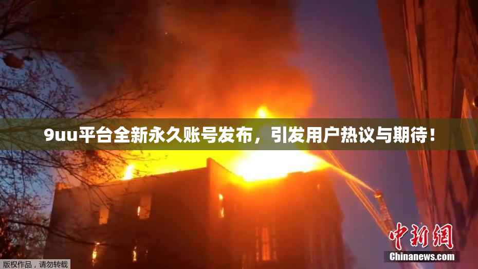 9uu平台全新永久账号发布，引发用户热议与期待！