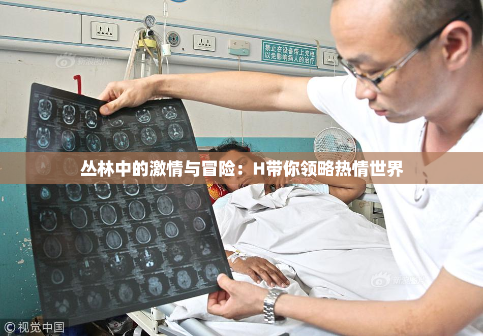 丛林中的激情与冒险：H带你领略热情世界