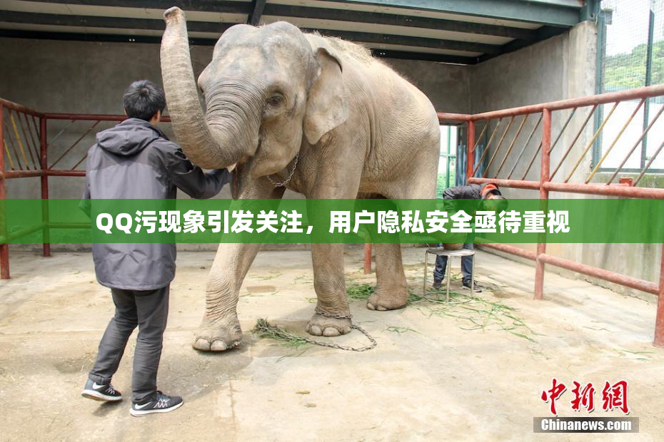 QQ污现象引发关注，用户隐私安全亟待重视