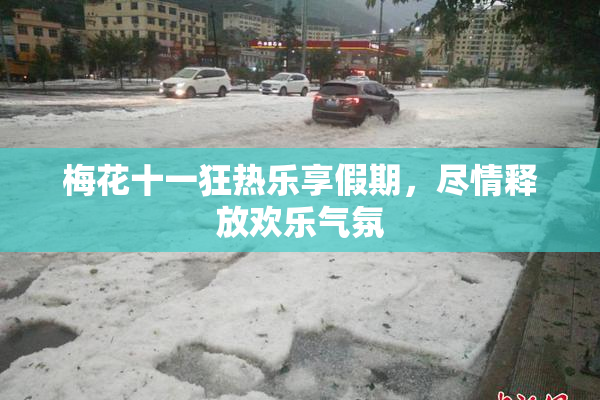 梅花十一狂热乐享假期，尽情释放欢乐气氛