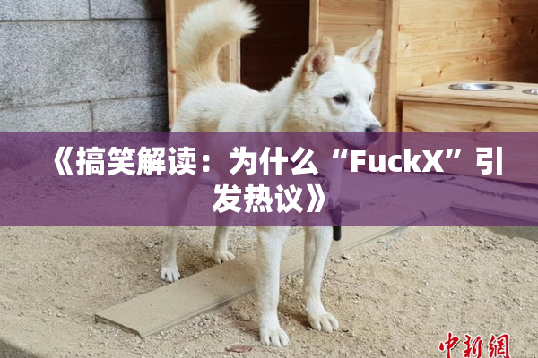 《搞笑解读：为什么“FuckX”引发热议》
