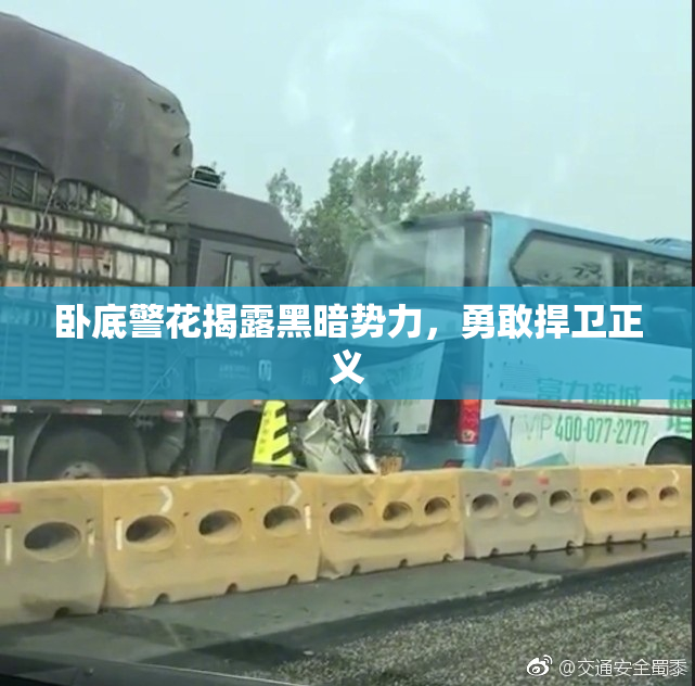 卧底警花揭露黑暗势力，勇敢捍卫正义