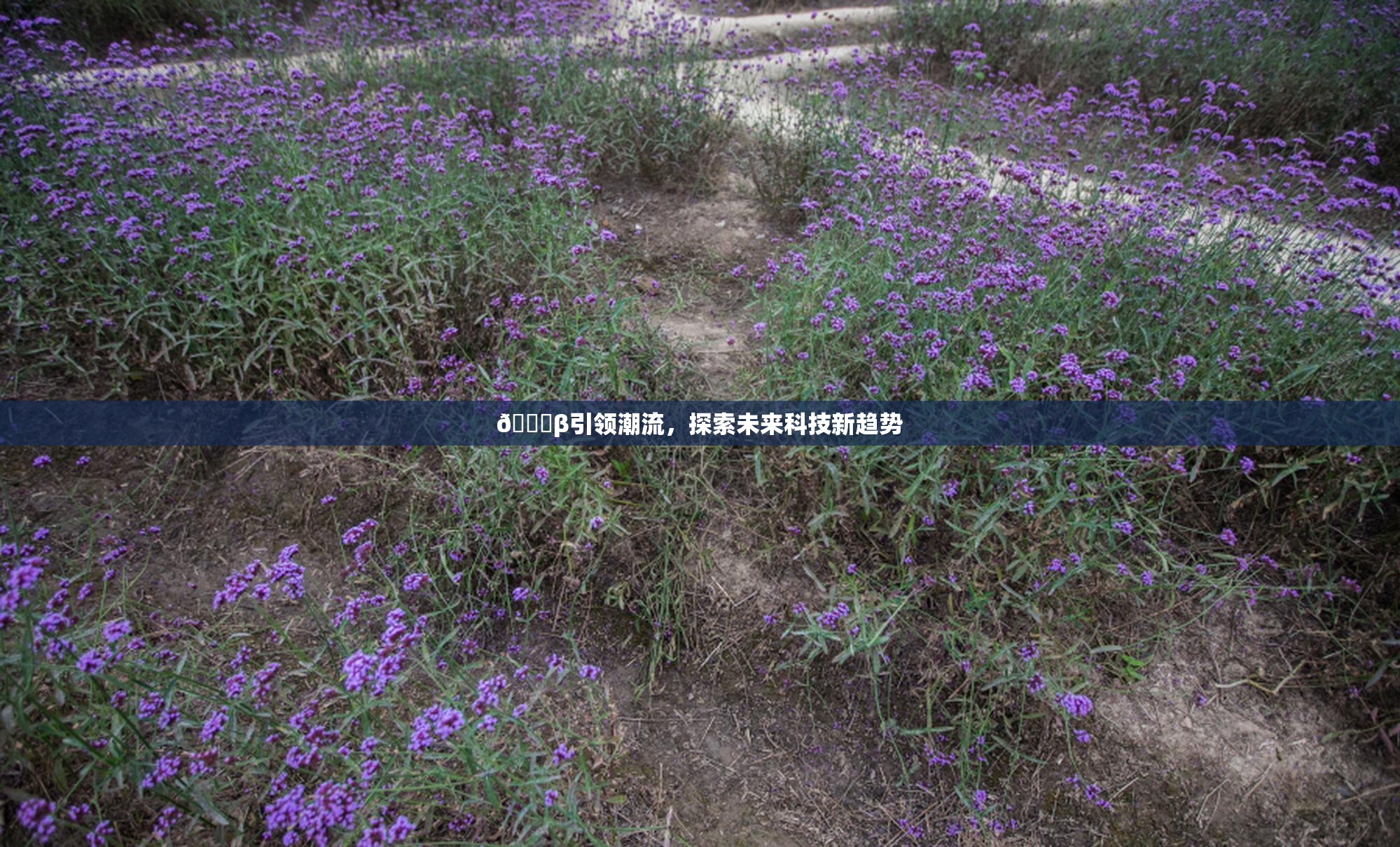 👙β引领潮流，探索未来科技新趋势