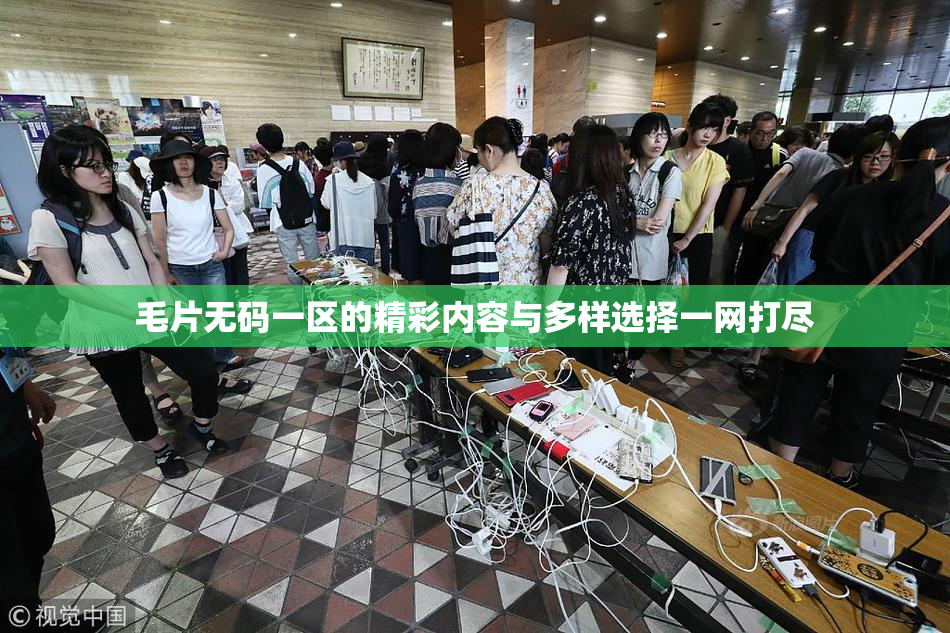 毛片无码一区的精彩内容与多样选择一网打尽