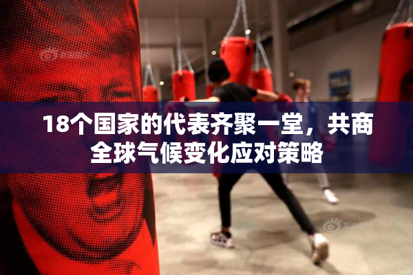 18个国家的代表齐聚一堂，共商全球气候变化应对策略