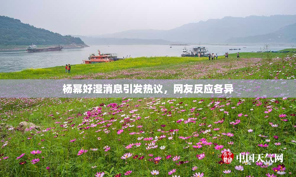 杨幂好湿消息引发热议，网友反应各异