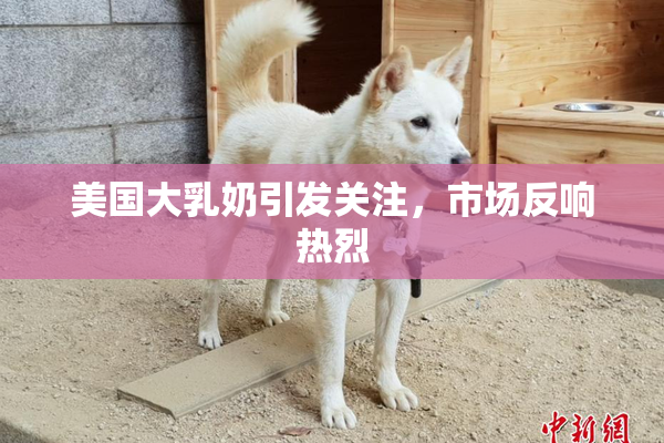 美国大乳奶引发关注，市场反响热烈