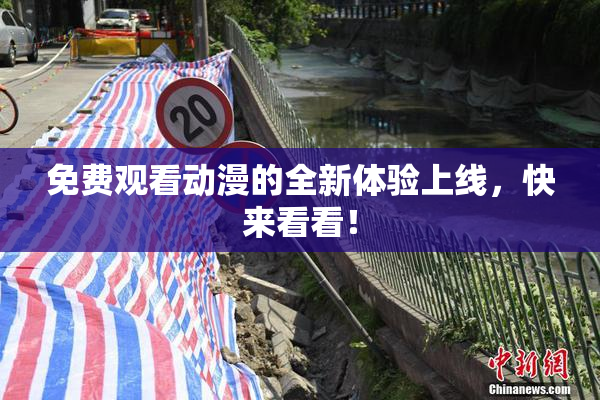 免费观看动漫的全新体验上线，快来看看！