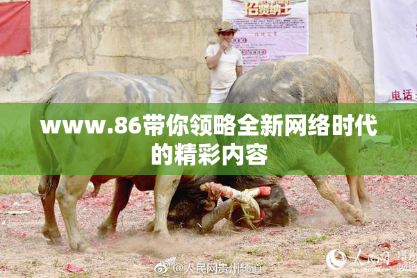 www.86带你领略全新网络时代的精彩内容