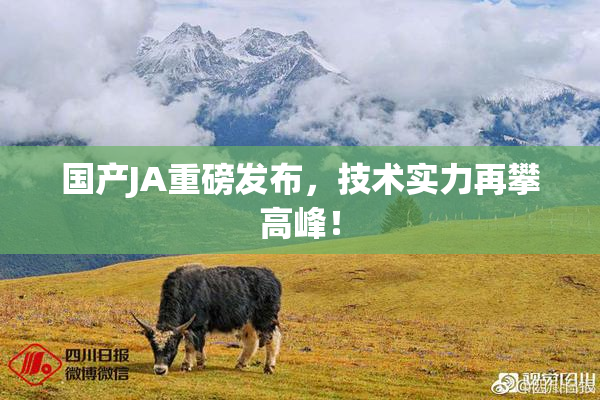 国产JA重磅发布，技术实力再攀高峰！