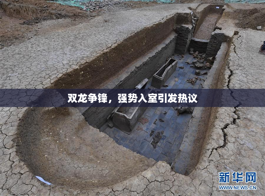 双龙争锋，强势入室引发热议