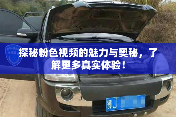 探秘粉色视频的魅力与奥秘，了解更多真实体验！
