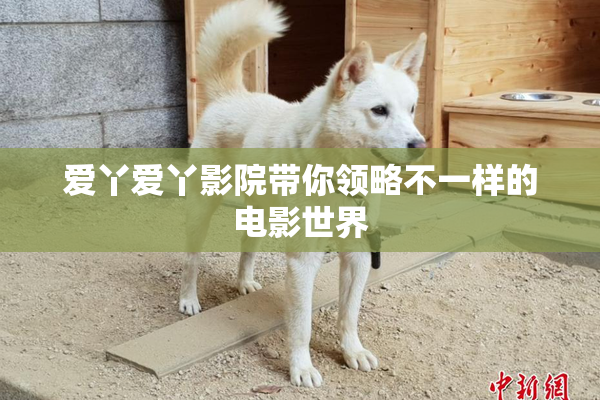 爱丫爱丫影院带你领略不一样的电影世界