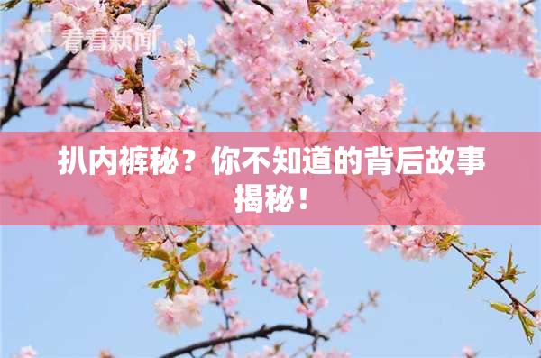 扒内裤秘？你不知道的背后故事揭秘！