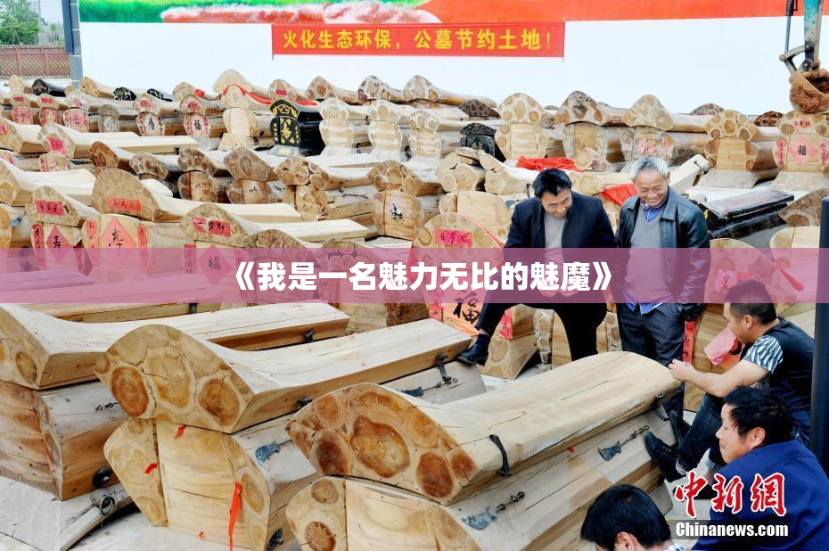 《我是一名魅力无比的魅魔》