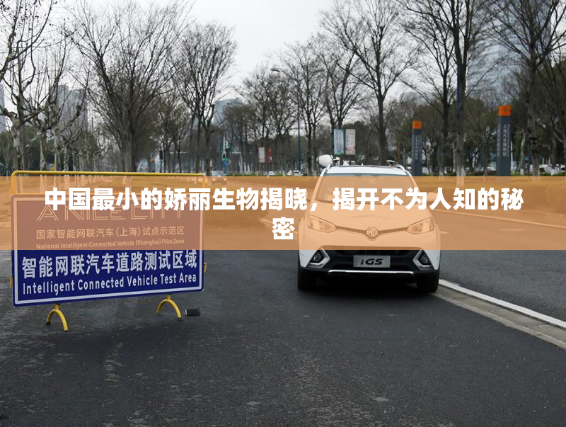 中国最小的娇丽生物揭晓，揭开不为人知的秘密