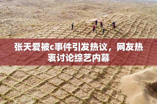 张天爱被c事件引发热议，网友热衷讨论综艺内幕