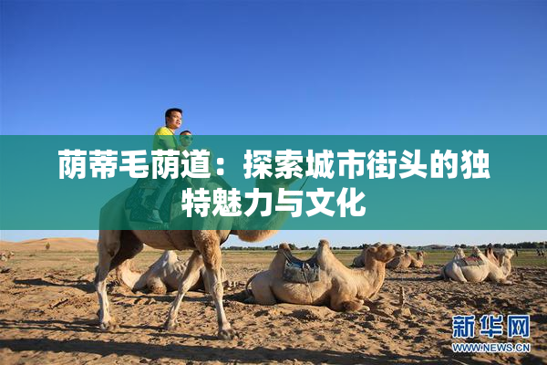 荫蒂毛荫道：探索城市街头的独特魅力与文化