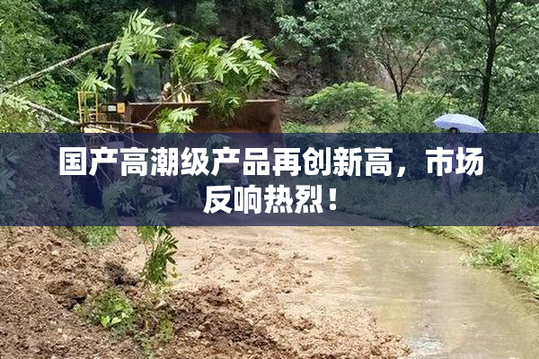 国产高潮级产品再创新高，市场反响热烈！