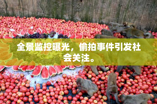 全景监控曝光，偷拍事件引发社会关注。