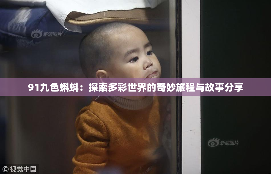 91九色蝌蚪：探索多彩世界的奇妙旅程与故事分享
