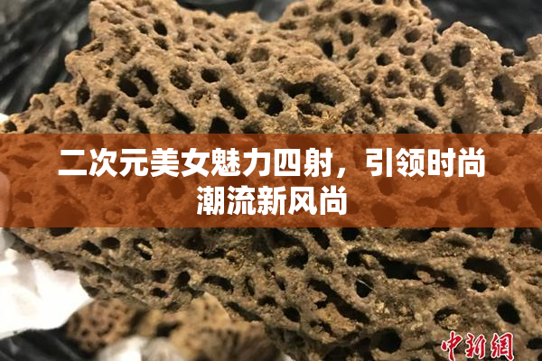 二次元美女魅力四射，引领时尚潮流新风尚