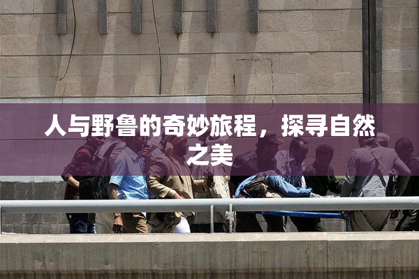 人与野鲁的奇妙旅程，探寻自然之美