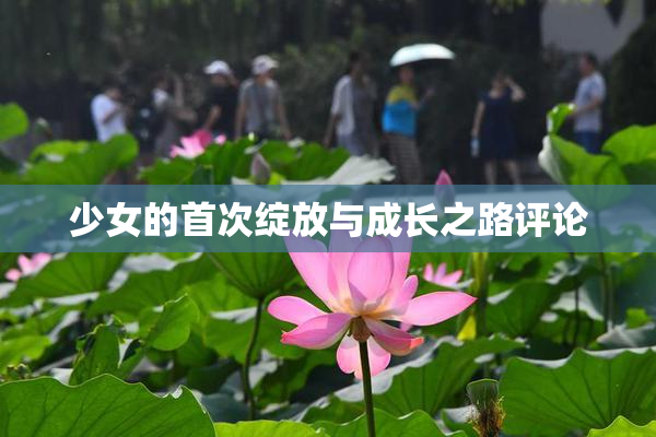 少女的首次绽放与成长之路评论