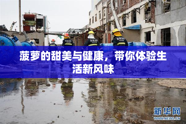 菠萝的甜美与健康，带你体验生活新风味
