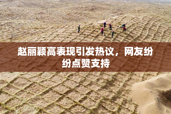 赵丽颖高表现引发热议，网友纷纷点赞支持