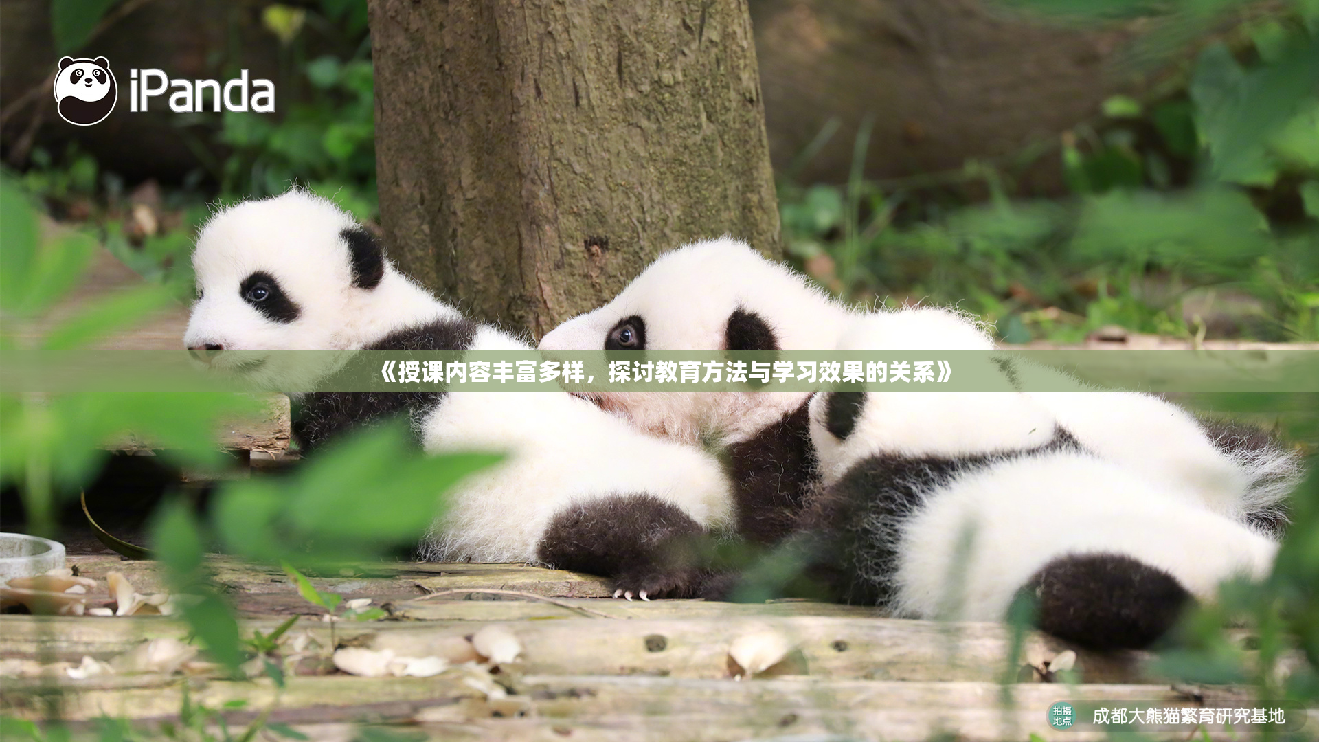 《授课内容丰富多样，探讨教育方法与学习效果的关系》