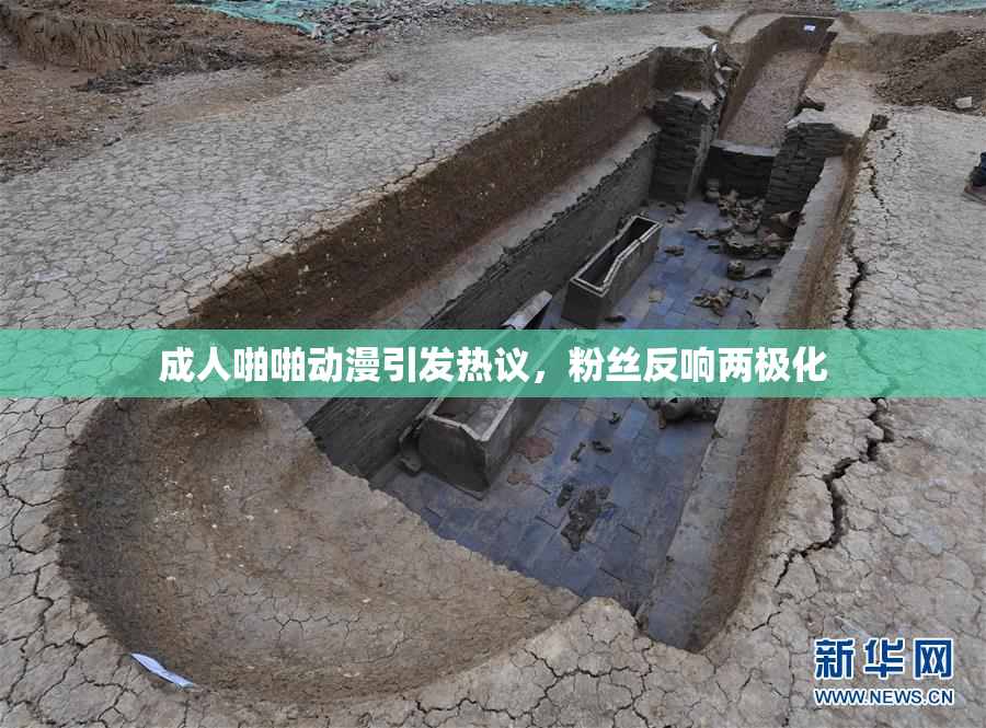 成人啪啪动漫引发热议，粉丝反响两极化