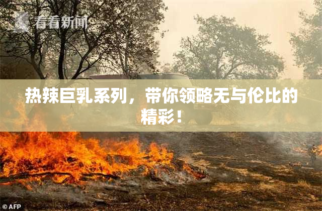 热辣巨乳系列，带你领略无与伦比的精彩！