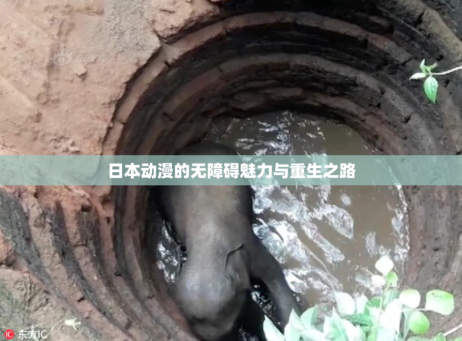 日本动漫的无障碍魅力与重生之路