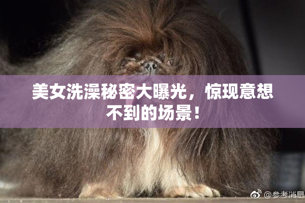 美女洗澡秘密大曝光，惊现意想不到的场景！