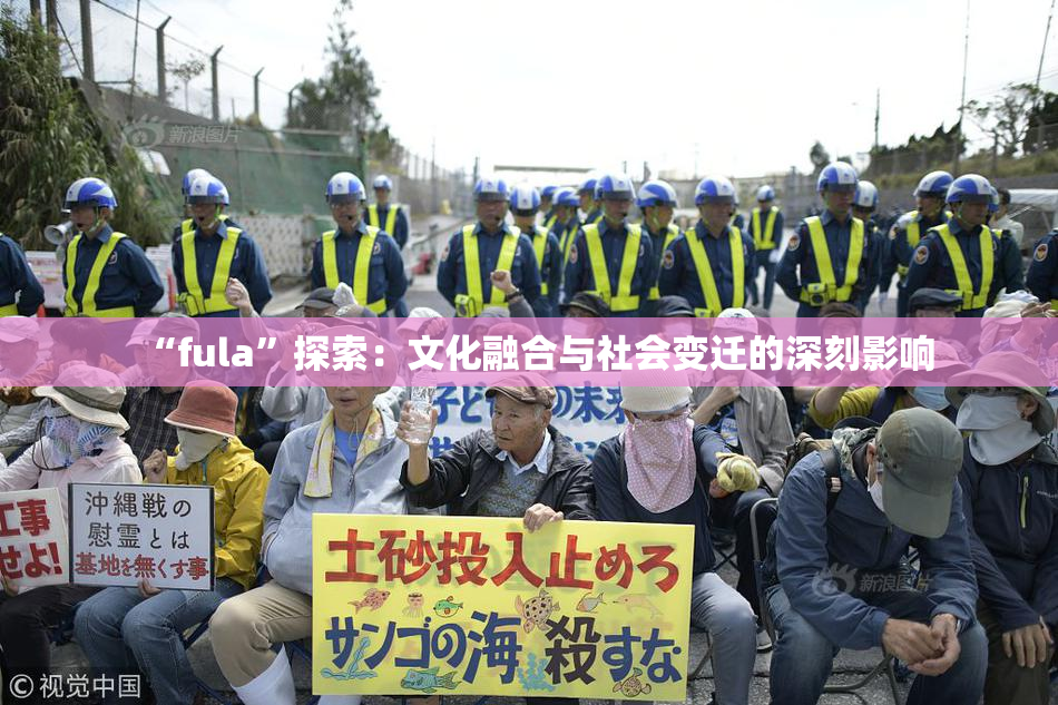 “fula”探索：文化融合与社会变迁的深刻影响