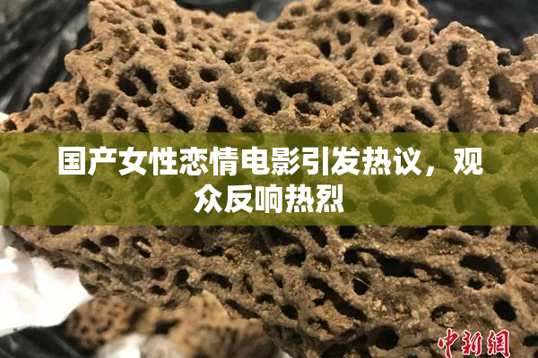 国产女性恋情电影引发热议，观众反响热烈