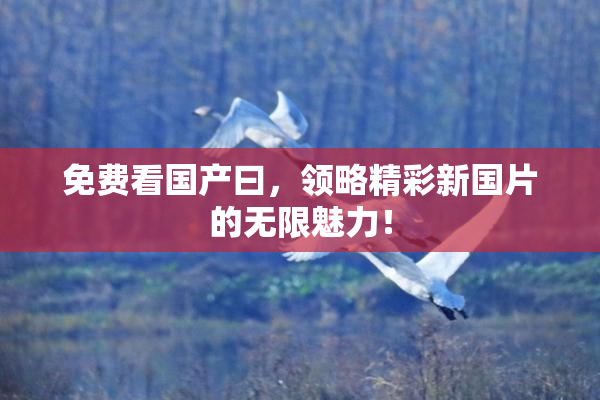 免费看国产曰，领略精彩新国片的无限魅力！