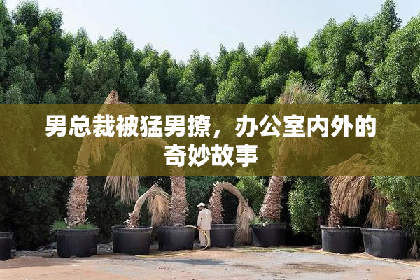 男总裁被猛男撩，办公室内外的奇妙故事