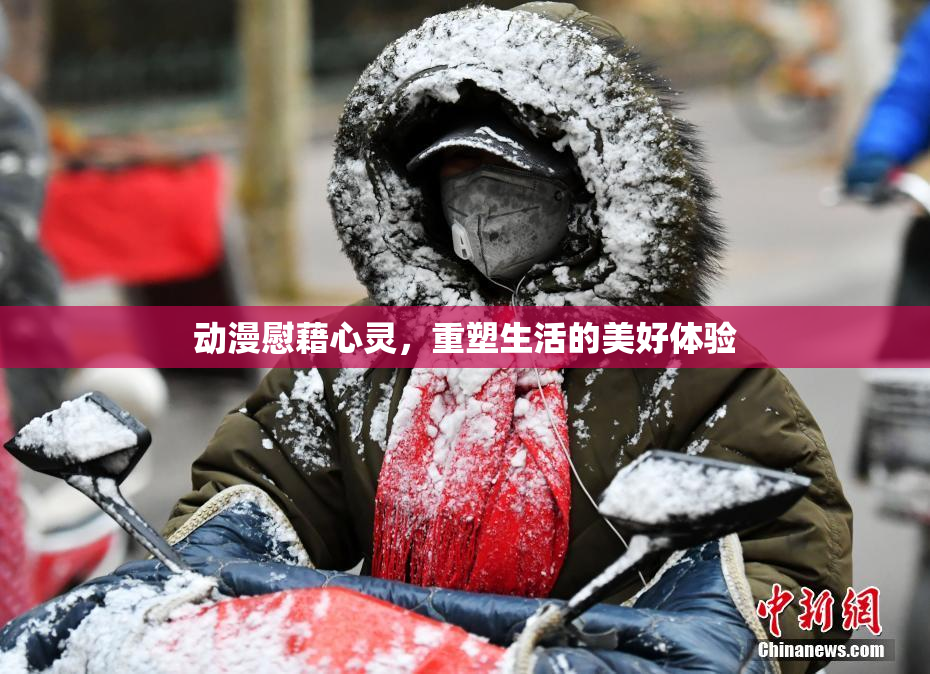 动漫慰藉心灵，重塑生活的美好体验