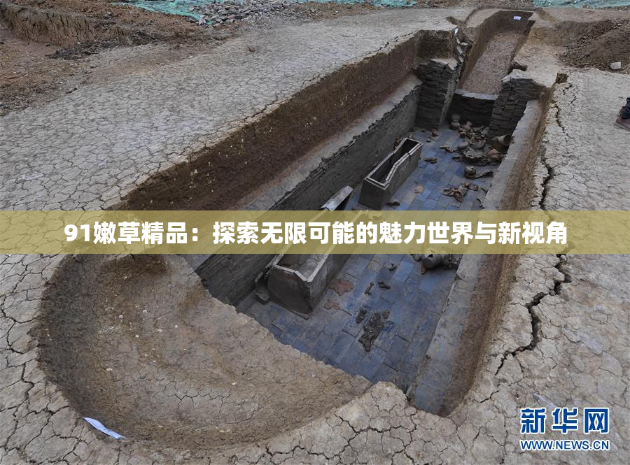 91嫩草精品：探索无限可能的魅力世界与新视角