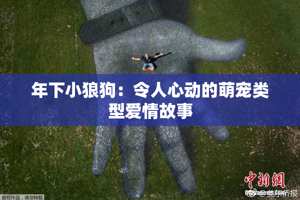 年下小狼狗：令人心动的萌宠类型爱情故事